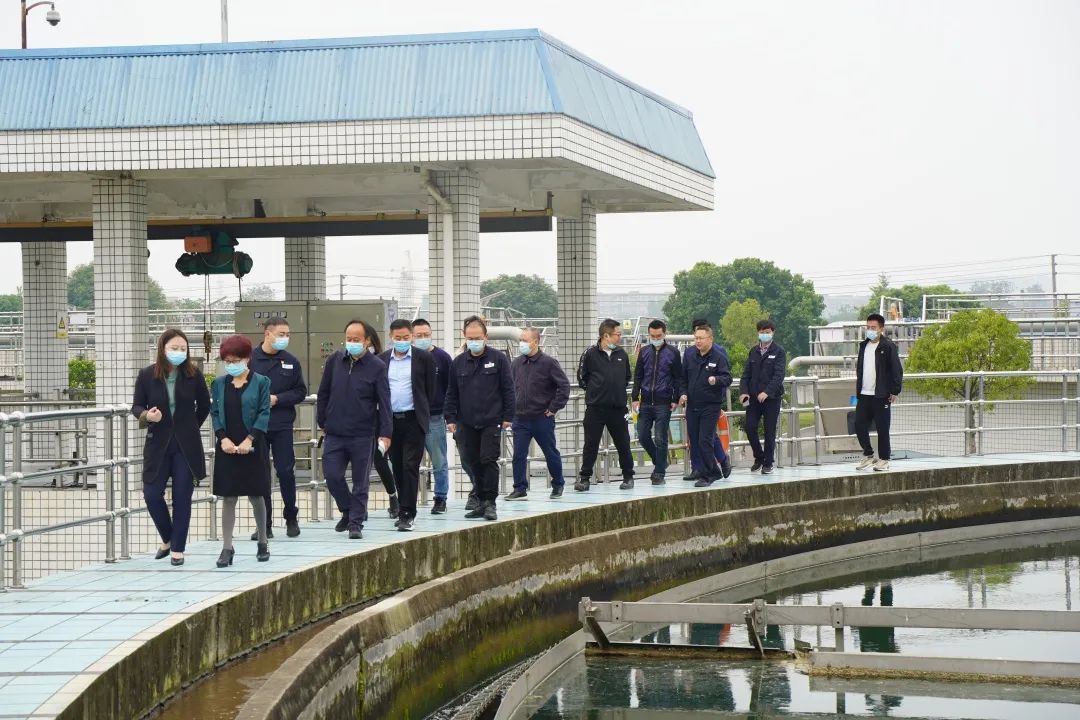 民革德阳市委调研pa集团官网集团